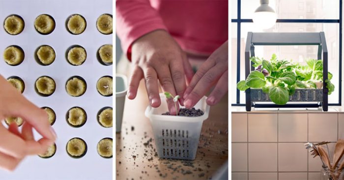 IKEA Releases Indoor Garden Kits For Year Round Veggies – No Skills or Soil Needed