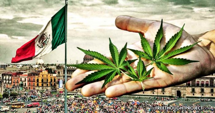 Mexico Just Legalized Medical Cannabis Nationwide Exposing America’s Oppression