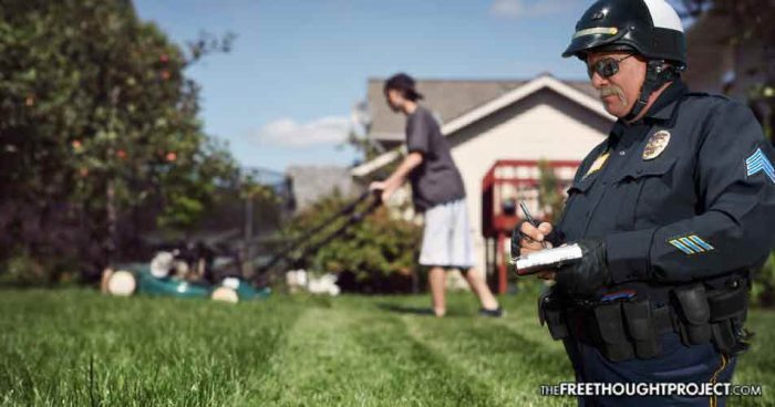 Children Now Face Fines And Arrest If They Don’t Get a Permit To Mow Grass For Money