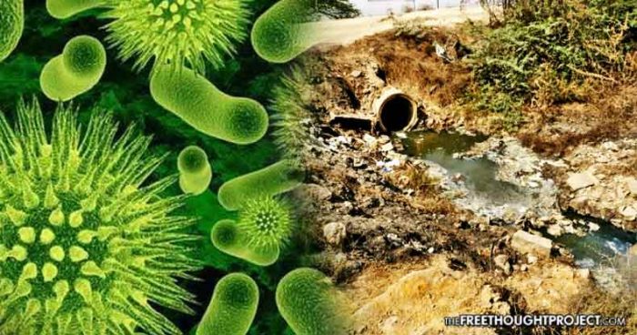 Alarming Study: Pharmaceutical Factory Pollution Accelerating Spread of Superbugs