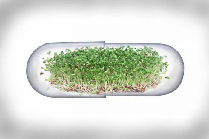 Prescription Broccoli In A Pill Seen as a Future Diabetes Treatment