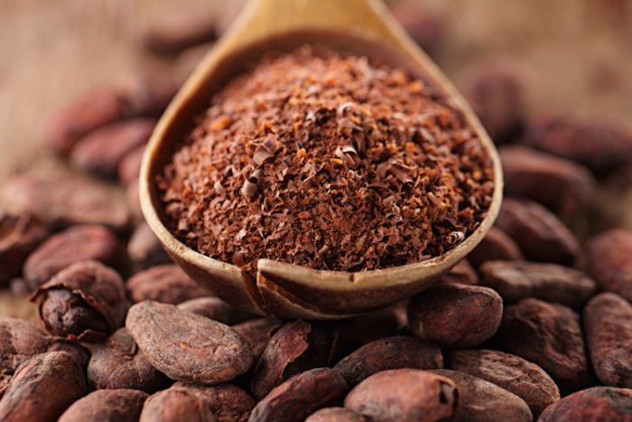 Two New Scientific Reasons Why Cacao is the Ideal Brain Food