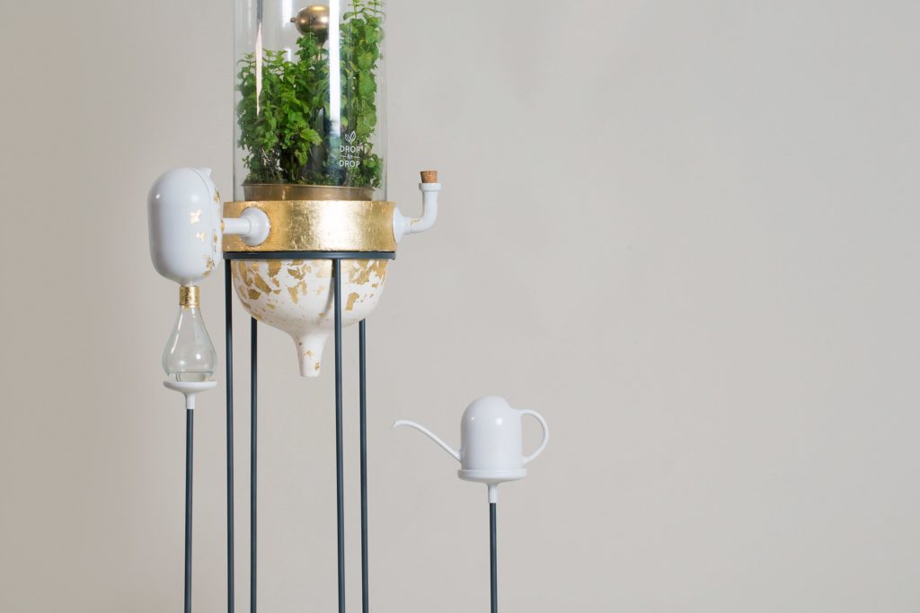 This PlantBased Water Filter Works Like A Mini Amazon Rainforest