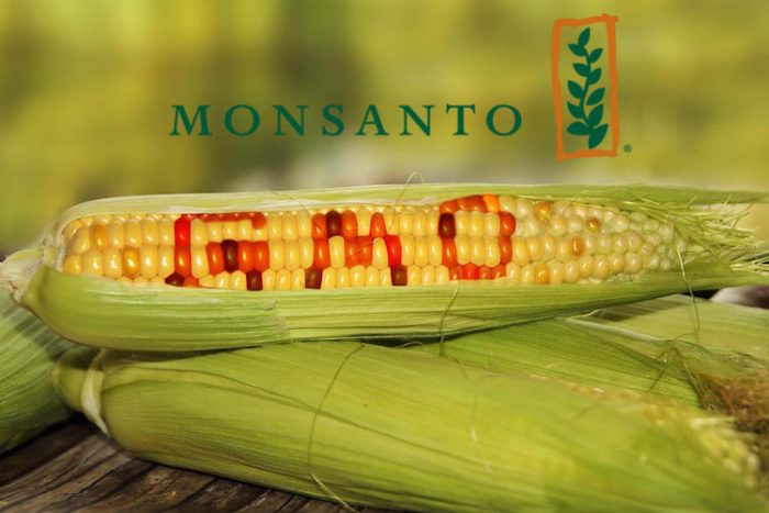 GMOs Just Got A Lot More Frightening With Approval Of New Monsanto Product