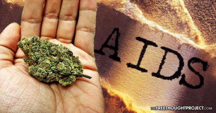 Groundbreaking Study Shows Cannabis Can Help Stop HIV From Becoming AIDS