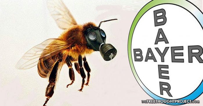 Bayer Accidentally Funds Study Showing Its Pesticide is Killing Bees, Promptly Denies Conclusions