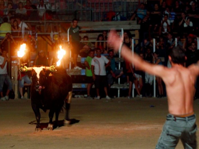 Horrific Footage Shows Bull Killing Itself After Crowd Sets It On Fire