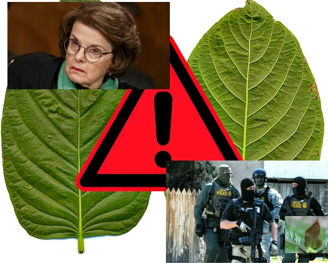 Congress Goes After Kratom, Attempts to Expand Drug War