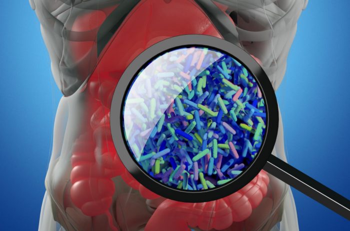Persistent Environmental Contaminant Changes Gut Microbiome