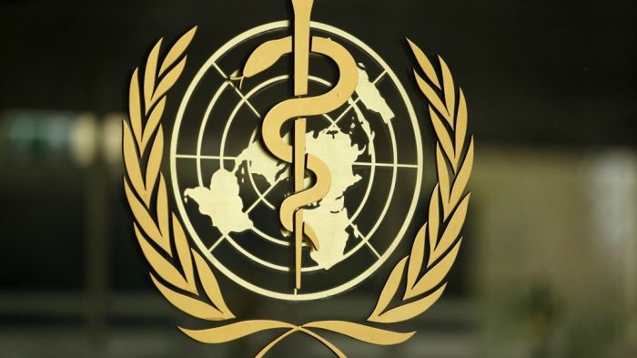 World Health Organization Needs Its Head Examined Regarding Vaccine Adverse Events