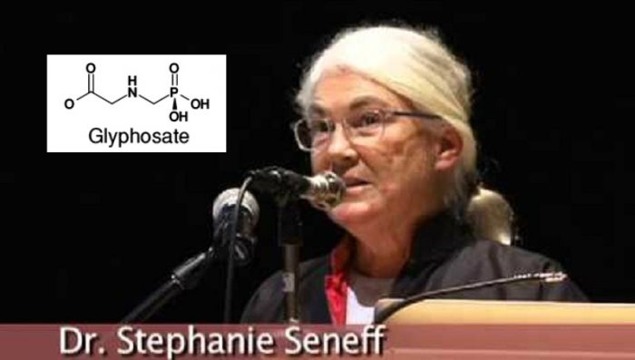 Weeding Out Vaccine Toxins: MMR, Glyphosate, and the Health of a Generation