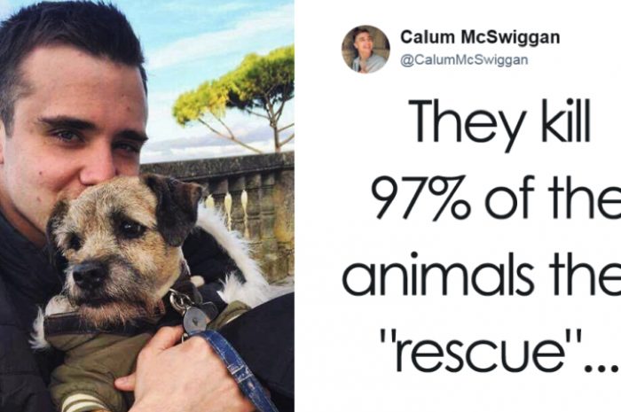 Vlogger Called Out PETA For How Horrible They Are, And People Are Finally Listening