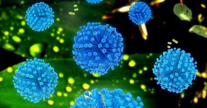 Retroviruses: Poorly Understood Agents of Change