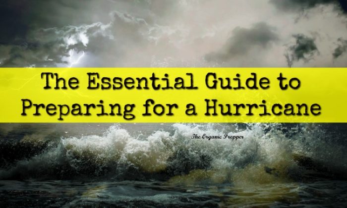 The Essential Guide to Preparing for a Hurricane