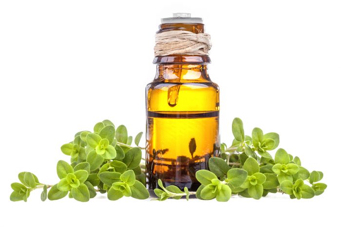 Marjoram Essential Oil Benefits Sleep, Blood Pressure, Bladder, Gut