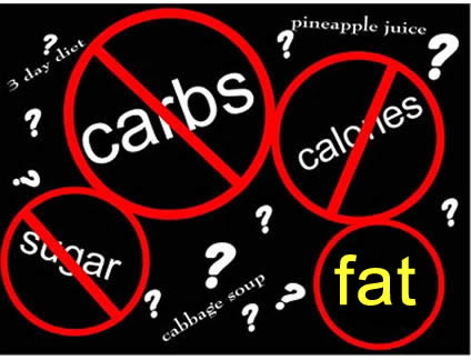Programming Fat Cells Takes Only 24 Hours