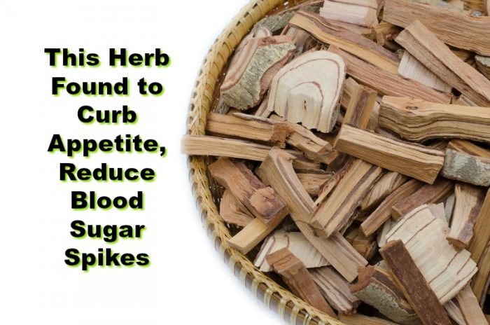 Little Known Herbal Extract Found to Curb Appetite and Regulate Blood Sugar
