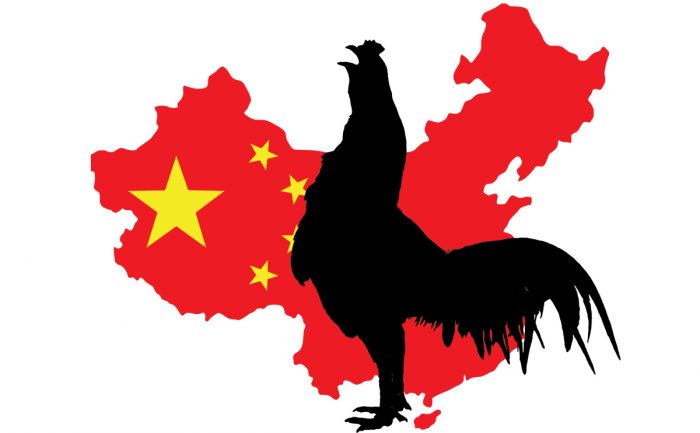 Chinese Chicken Alert For The USA