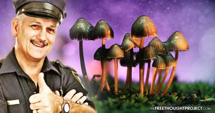 Landmark Study Shows Psychedelics Far More Effective at Reducing Crime Than Police
