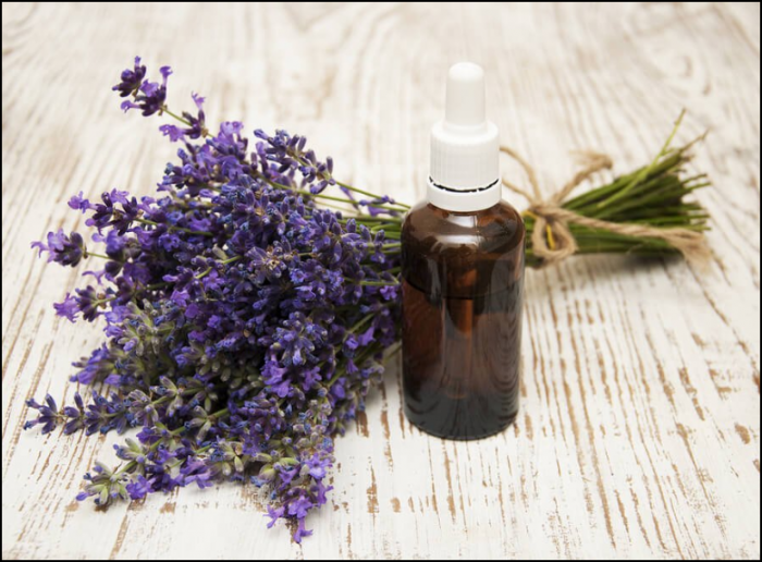 Lavender Essential Oil Heals Minor Burns!