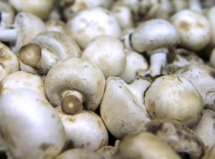 mushrooms antiaging