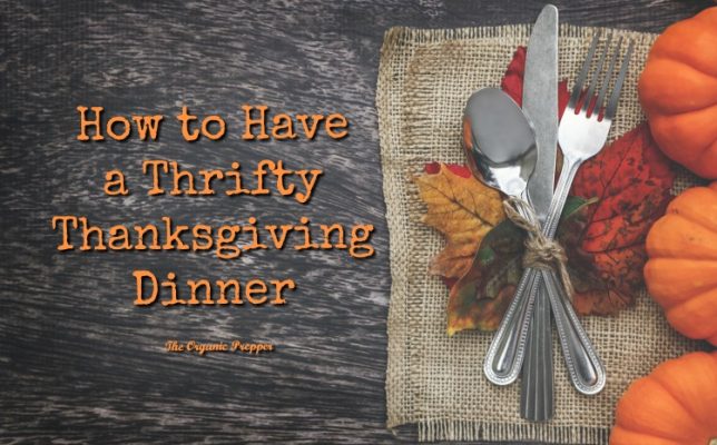 How to Have a Thrifty Thanksgiving Dinner