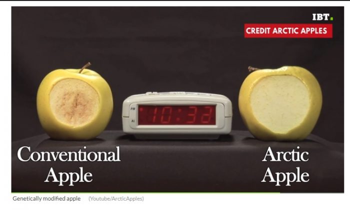 GMO Apples That Do Not Brown Have Hit Stores