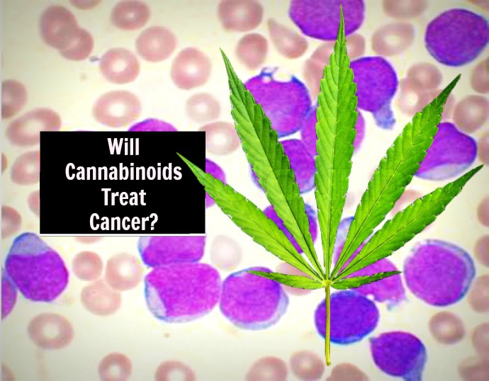 Cannabinoids For Cancer Treatment, Journal Supports Changing Federal Schedule