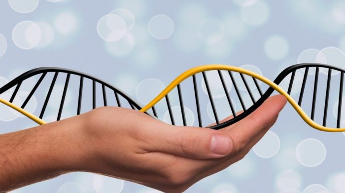 Gene Editing vs. Alternative Technology