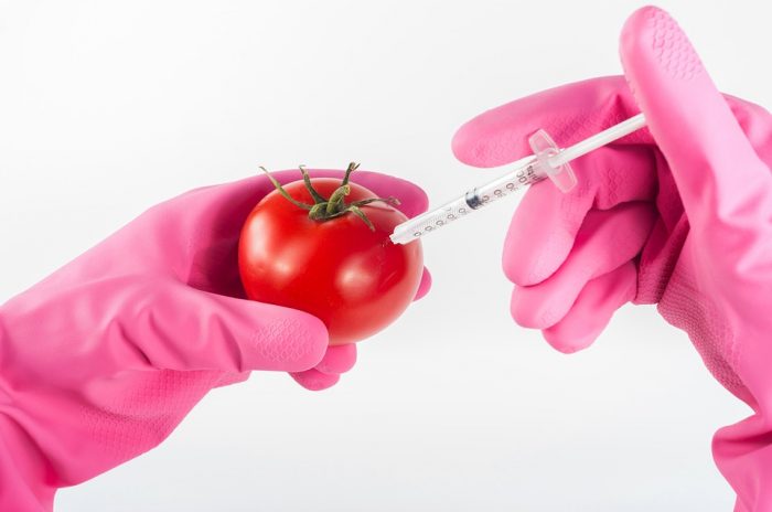 New Genetically Modified Tomatoes May Soon Hit The Marketplace
