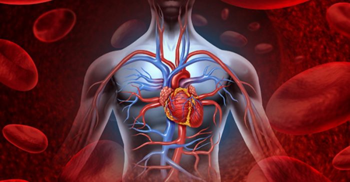 This Dietary Supplement May “Dramatically” Reverse Signs of Heart Disease