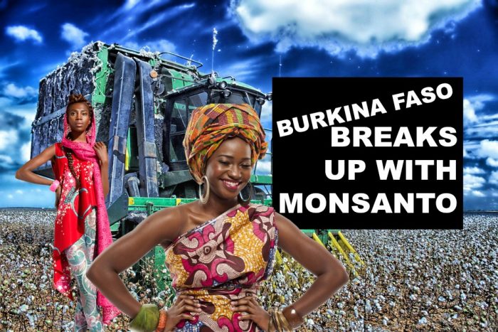 Burkina Faso Ends Relationship With Monsanto After Cotton Crop Failure