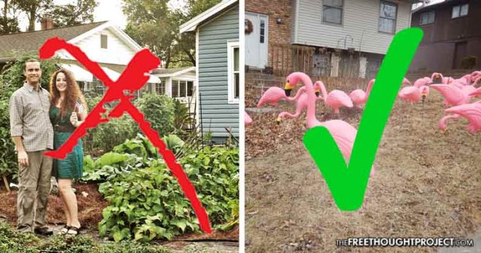Court Rules Front Yard Garden ILLEGAL But Plastic Flamingos Are Okay