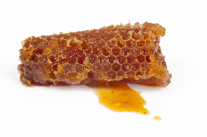 The Incredible Health Benefits Of Propolis