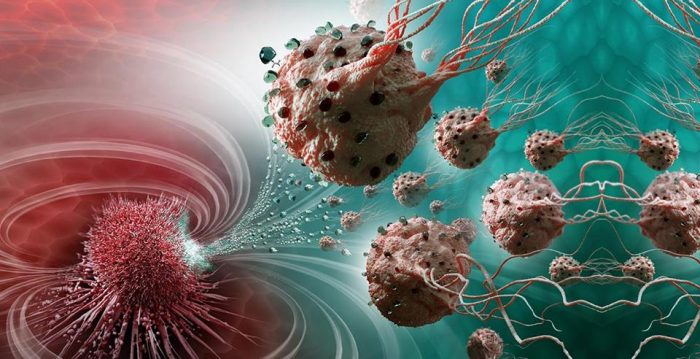 Bacteria are Turned into Nanobots Inside the Body to “Fight Cancer”