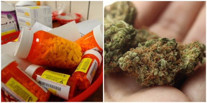 Cannabis Company Offers Brilliant Solution to Opioid Crisis: Trade Your Drugs for Weed