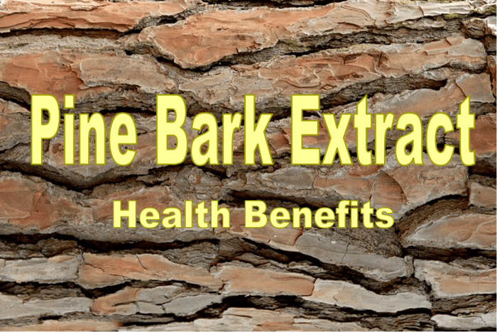 Pine Bark Extract Benefits for Heart, ADHD, Diabetes