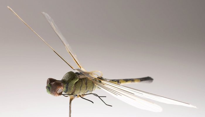 Check Your Insects: Insect Drones have Existed Since the 1970s