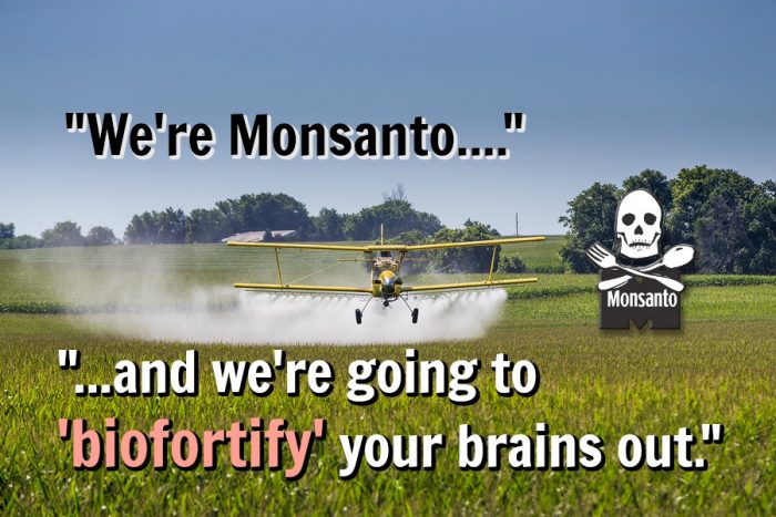 Monsanto Trying To Hide GMO Foods Under the Term “Biofortified”