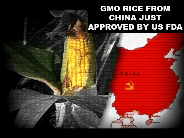 First GM Rice Just Approved by the U.S. FDA
