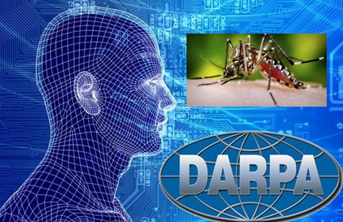 DARPA Funding GM Mosquitoes Research But Is It Something Else They Are Really Studying?
