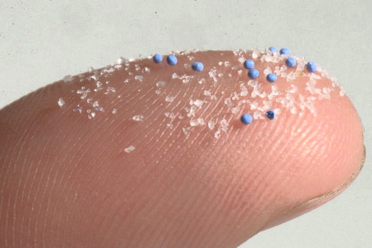 microplastics greater threat to land than water