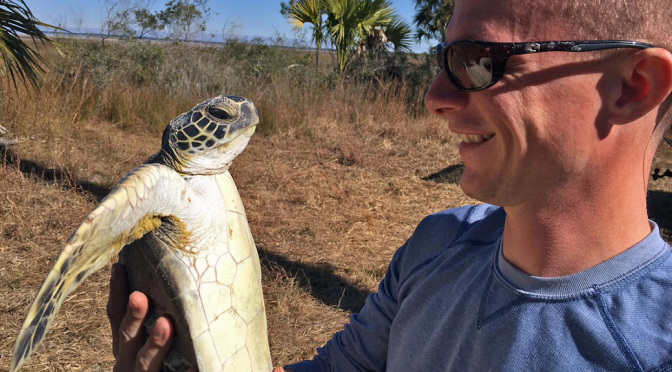 Sea Turtles Stunned By Cold Weather Rescue In Florida