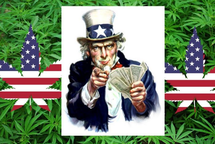 How Uncle Sam Launders Marijuana Money