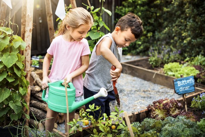 Farm Life Boosts Gut Microbiome Maturation in Children