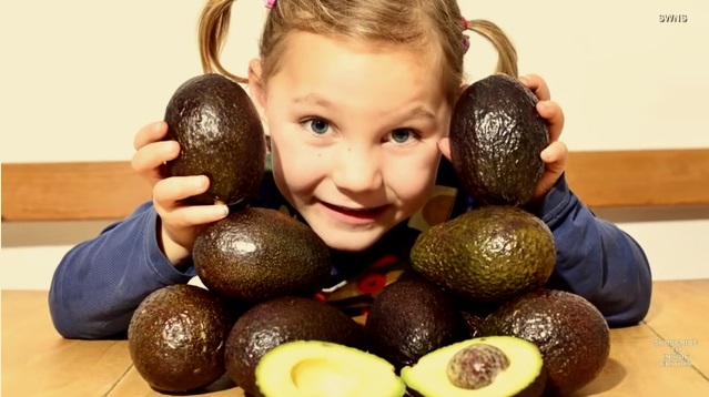 5-Year-Old Cured From Seizures on 2 Avocados a Day