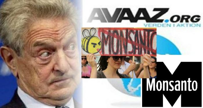Monsanto Sues Avaaz for Identity of 2 Million Anti-GM Activists, But Whose Side is Avaaz On?