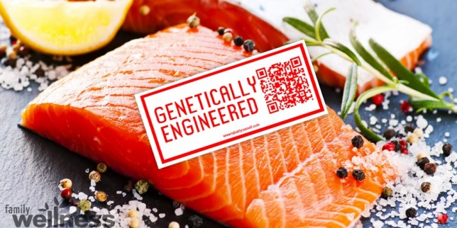 Corrupt FDA Tries To Kill FOIA On Alter Of GMOs Salmon-3-644x322