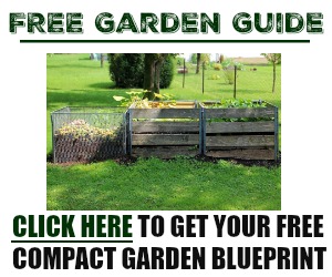 Free compact garden blueprint
