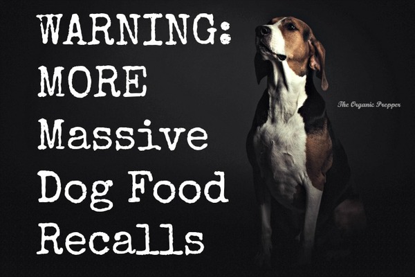 WARNING: MORE Massive Dog Food Recalls